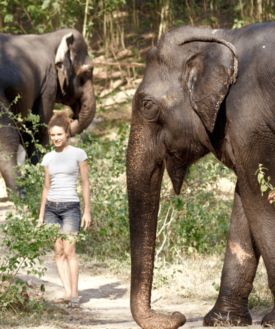 Eléphants Thaïlande - Terre Happy Travel (3)