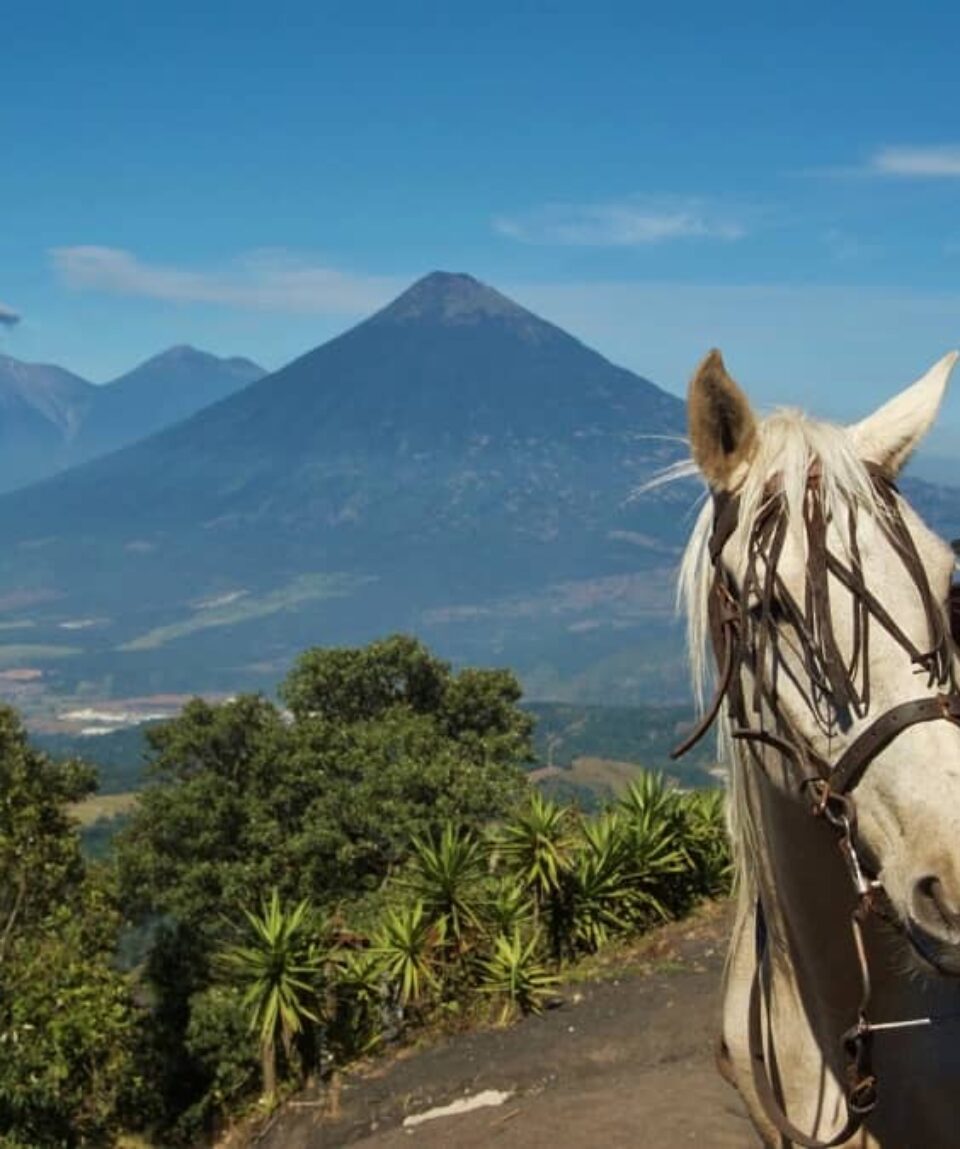 Séjour détox Guatemala - Terre Happy Travel (4)