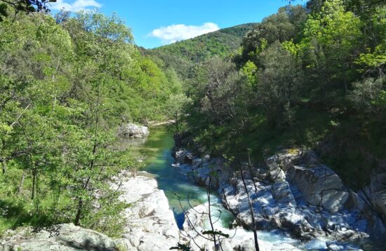 Immersion profonde dans les Cévennes - Terre Happy Travel