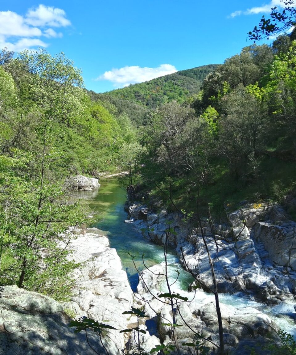 Immersion profonde dans les Cévennes - Terre Happy Travel